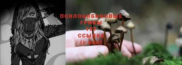 ECSTASY Мегион