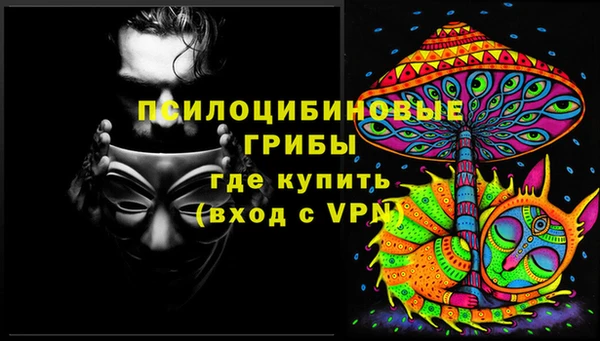 ECSTASY Мегион