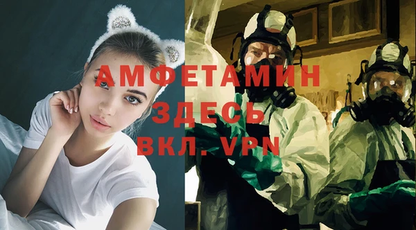 шишки Михайловка