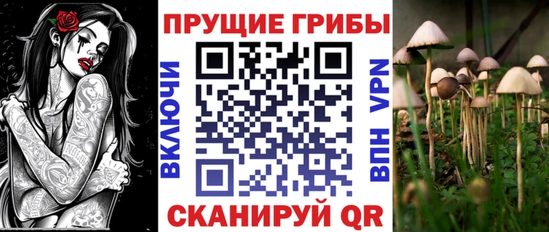 Псилоцибиновые грибы прущие грибы  Любань 